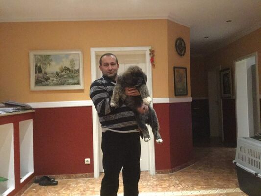  ,   Vladimir, 55 ,   ,   , c 