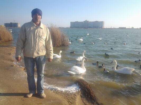  ,   , 53 ,   