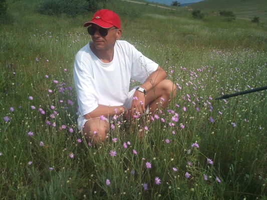  ,   , 54 ,   