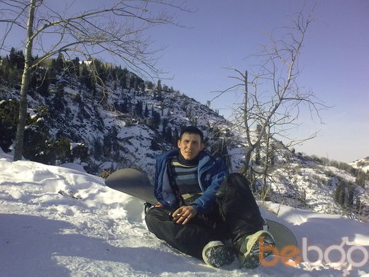 ���������� ������, ���� ������� 7476308682, 40 ���, ������������ ��� ������