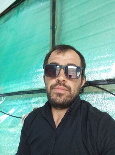  -,    , 37 ,   ,   