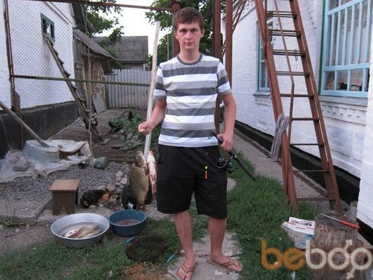 ���������� ����, ���� ������� ����, 33 ����, ������������ ��� ������, ����� � ���������, c�������� ���������