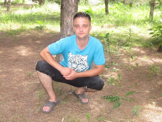   ,   , 37 ,   
