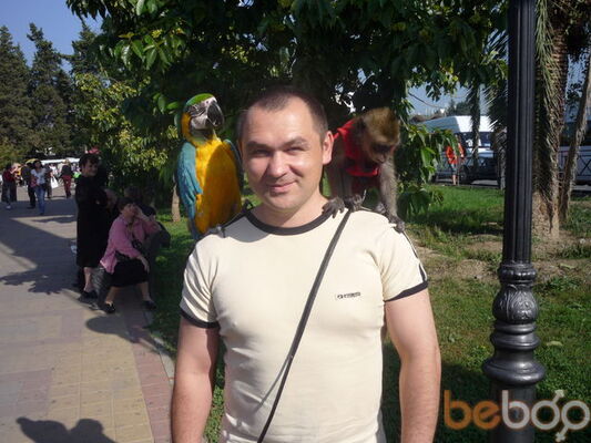  ,   , 50 ,  
