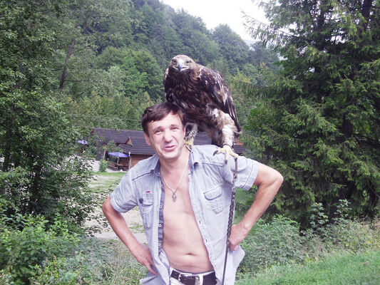  -,   , 61 ,   ,   , c , 