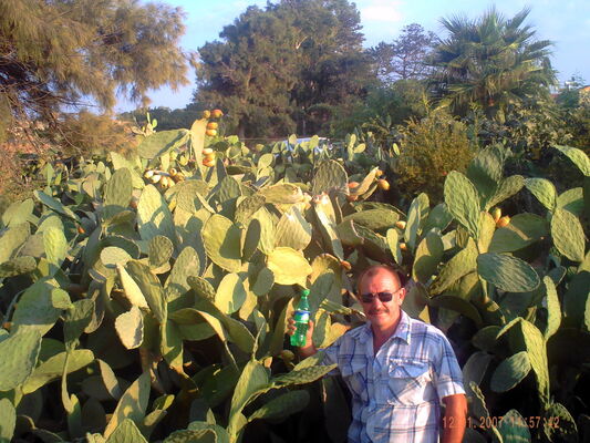  ,   , 55 ,   