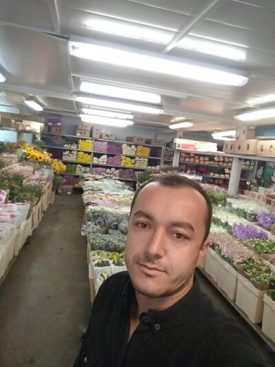  ,   , 34 ,     