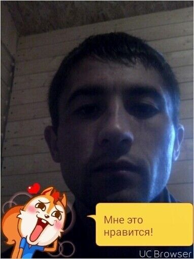   ,   , 37 ,   