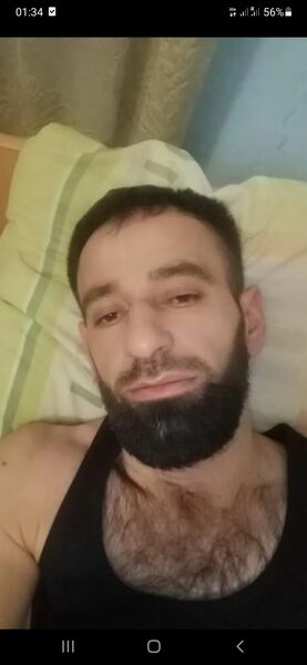  -,   , 41 ,     , c , 