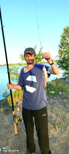  ,   Dmitry, 51 ,     , c 