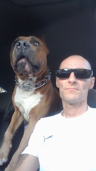  ,   Slavyan, 44 ,     , c 
