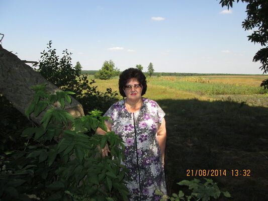   ,   , 68 ,  