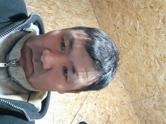  ,   , 43 ,   ,   