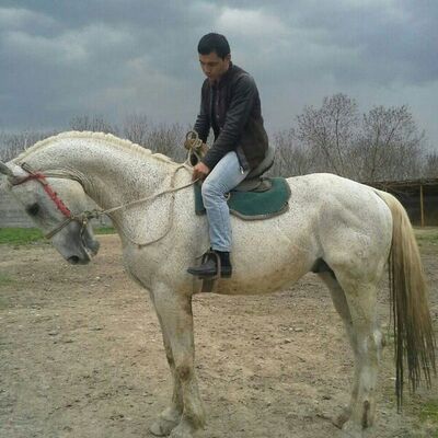  -,   , 37 ,   ,   , 