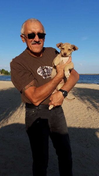  ,   , 59 ,   ,   , c 