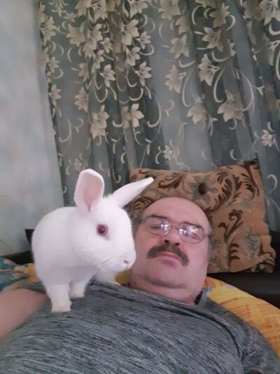  ,   , 56 ,   ,   , c 