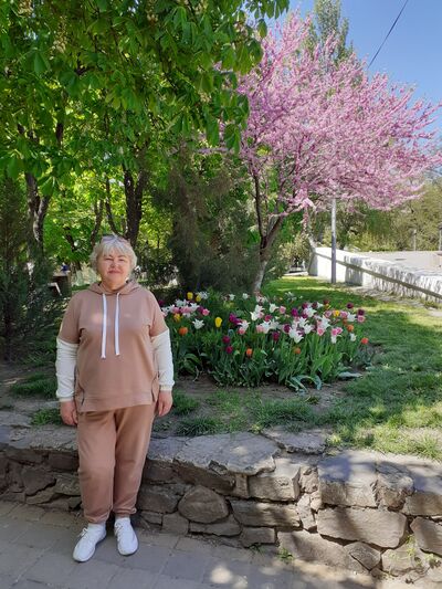  ,   , 66 ,   ,   