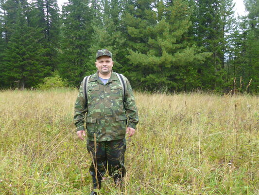  ,   , 44 ,  