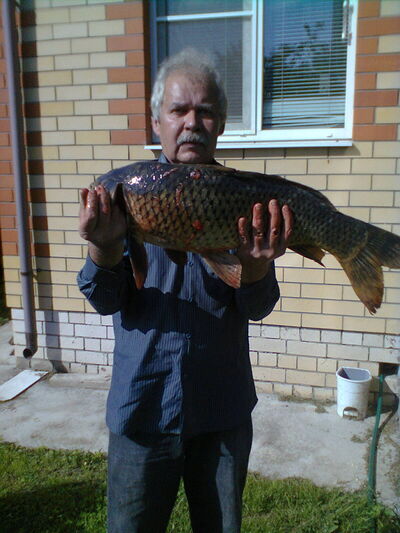  ,   , 63 ,     , c , 