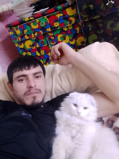 ,   , 31 ,   ,   , c , 