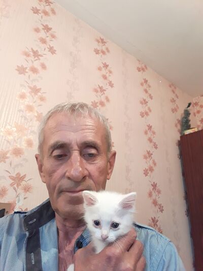  ,   , 71 ,   ,   