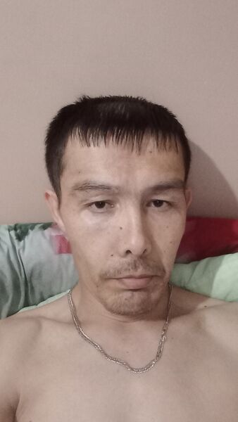  -,   , 41 ,   ,   