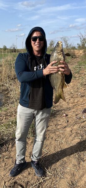  ,   , 38 ,     , c , 