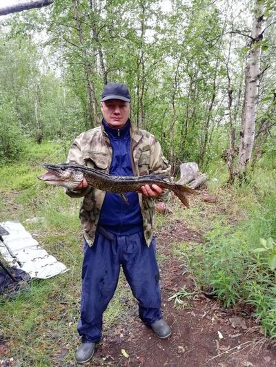  ,   Dmitrij, 46 ,     , c , 