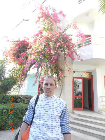  -,   , 43 ,   ,   