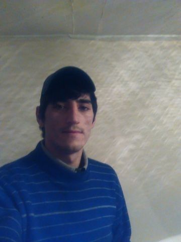  8188688  , 36 ,    