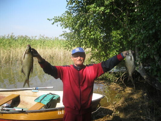  ,   Henry, 64 ,   ,   
