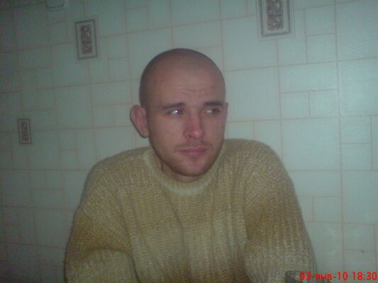  ,   ˸, 41 ,   ,   , c 