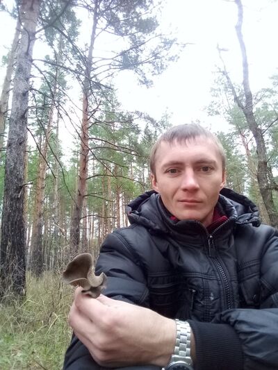  ,   , 41 ,     , c 
