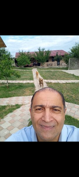  ,   , 61 ,   ,   
