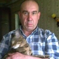  ,   , 62 ,   