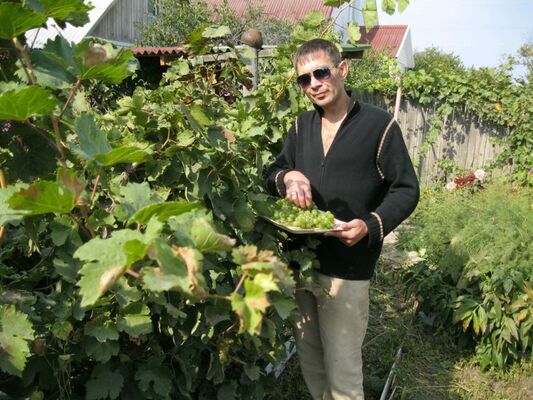  ,   Aleks, 49 ,   ,   , c 