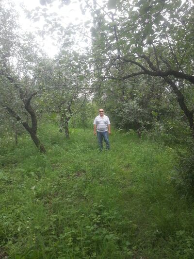  ,   , 54 ,   ,   