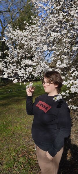  Sint-Truiden,   , 27 ,   c , 