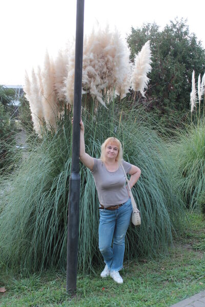  ,   , 50 ,  