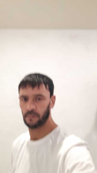  ,   SALAMON, 40 ,   ,   , 