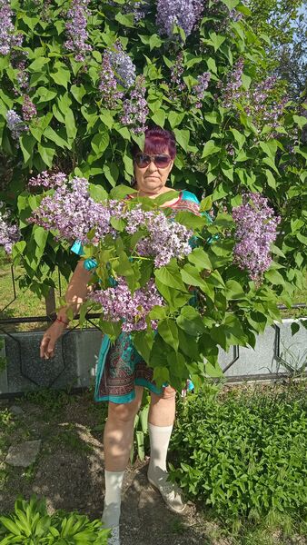  ,   , 68 ,   ,   