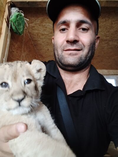 ,   Coni, 41 ,   ,   