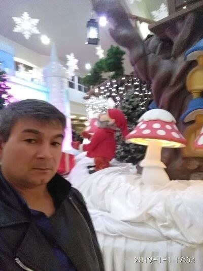  --,   , 51 ,   ,   , c 