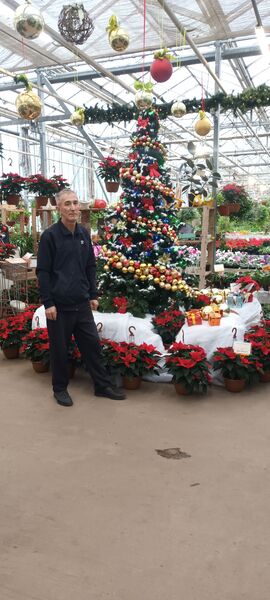  ,   , 56 ,   ,   