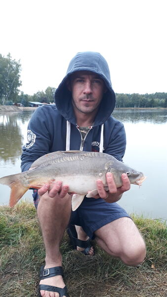  Szczecin Pogodno,   , 40 ,   ,   , c 