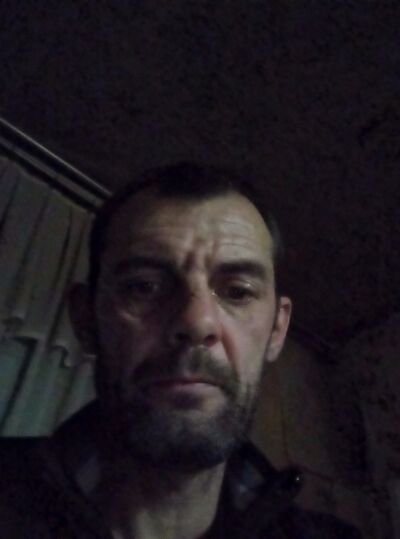  -,   , 44 ,   ,   