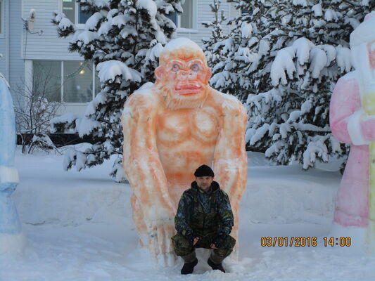  -,   Nicolay, 49 ,   ,   