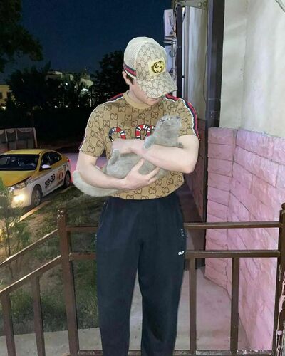  ,   Alim, 26 ,   c 