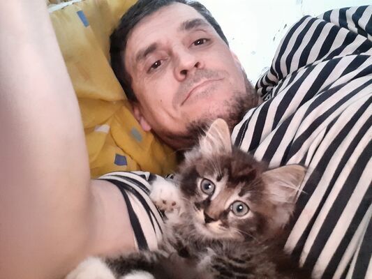  ,   , 44 ,   ,   , c , 