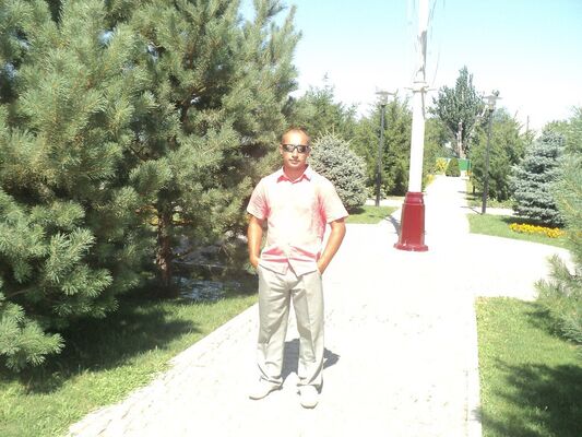  Novy,   , 46 ,   ,   